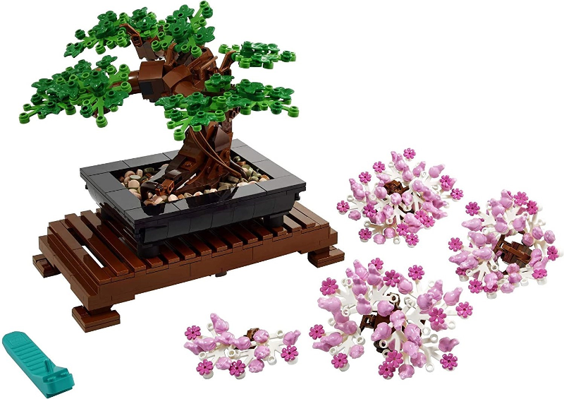 10281 | Bonsai Baum